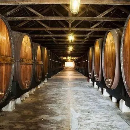 A Casa Do Chapeu De Palha